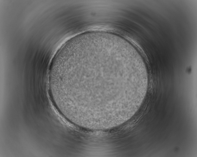 X0000115210992200912091154