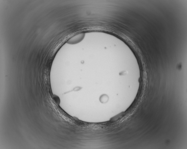 X0000115210993200912091154