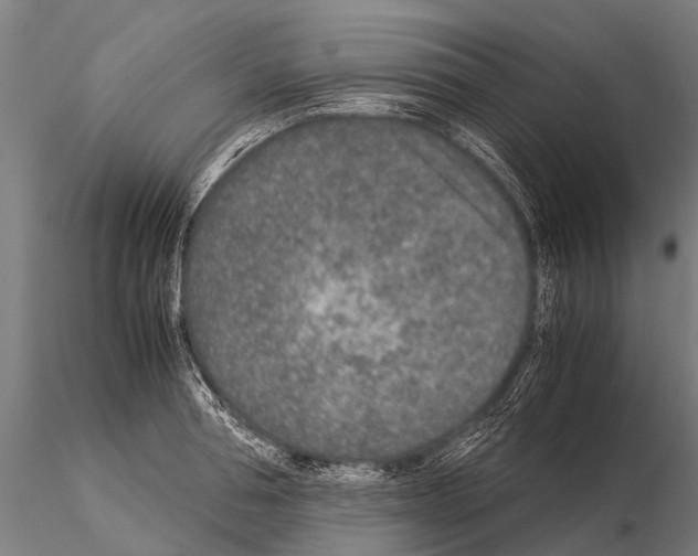 X0000115210994200912091154