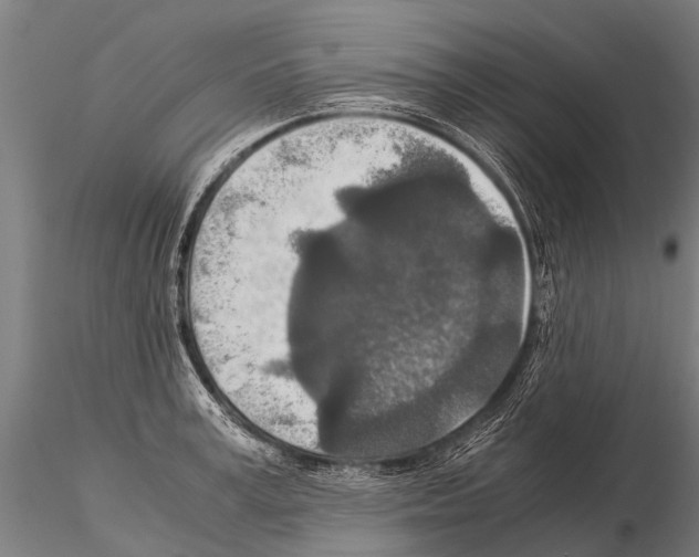 X0000115210995200912091154