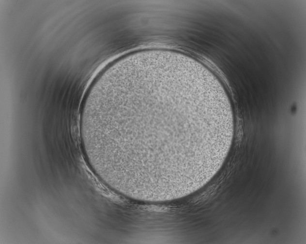 X0000115210996200912091154