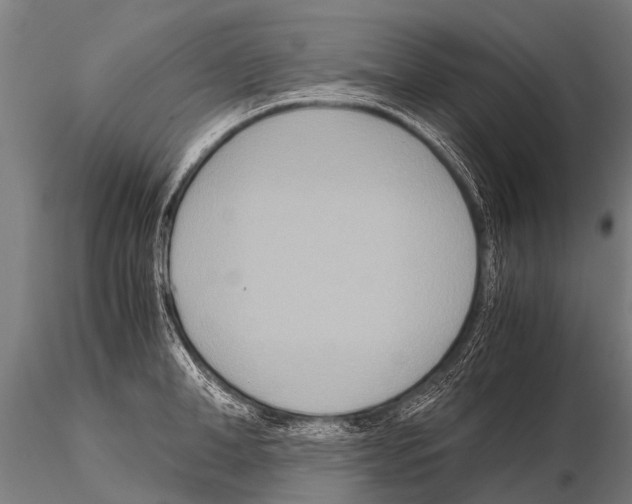 X0000115210998200912091154