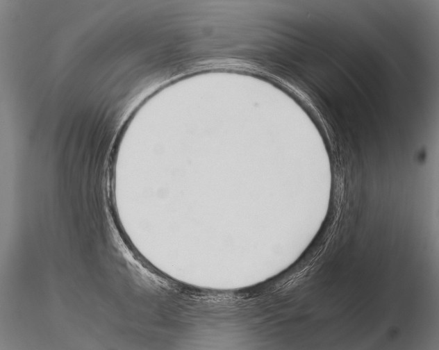 X0000115210999200912091154