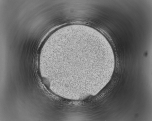 X0000115211000200912091154