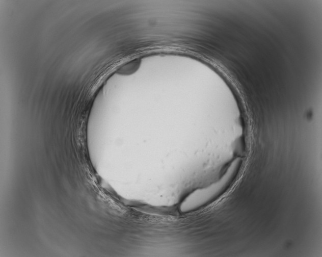 X0000115211001200912091154