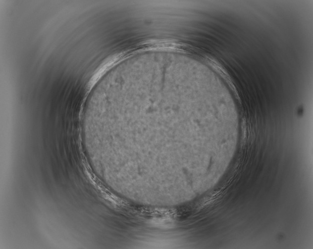 X0000115211002200912091154