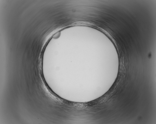 X0000115211003200912091154