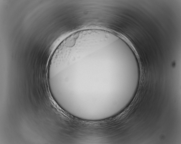 X0000115211004200912091153