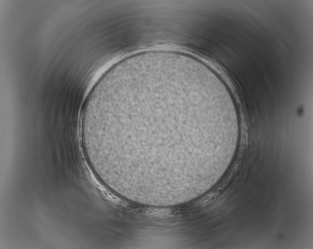 X0000115211006200912091153