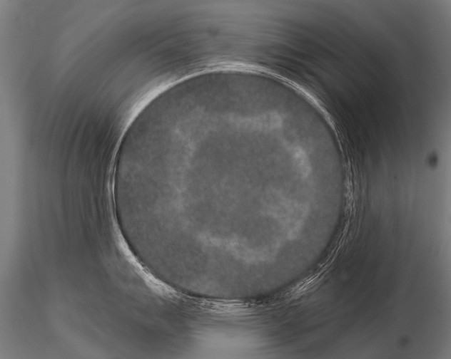 X0000115211007200912091153