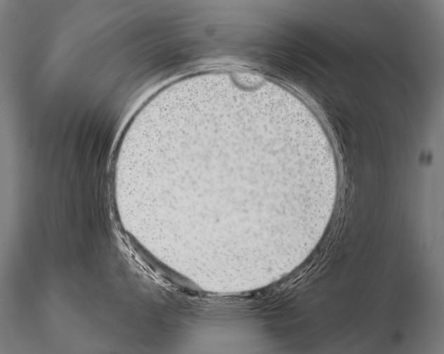 X0000115211008200912091153