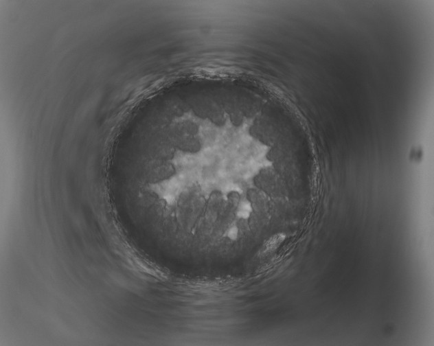 X0000115211009200912091153