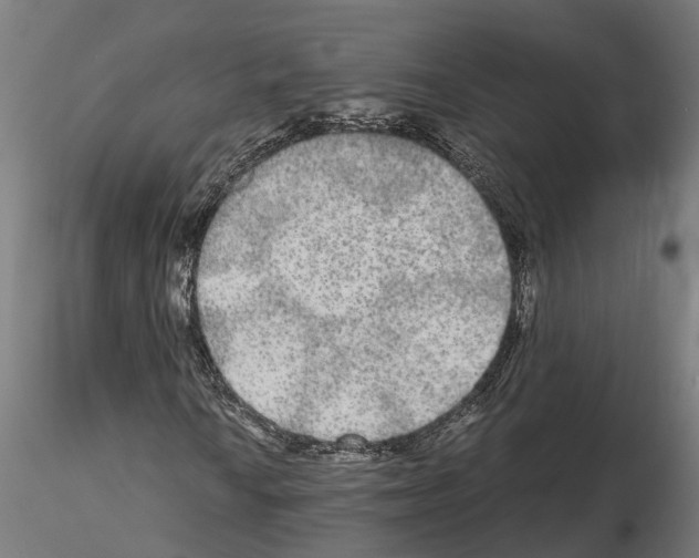 X0000115211010200912091153