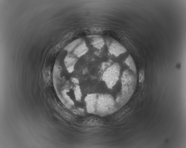 X0000115211011200912091153