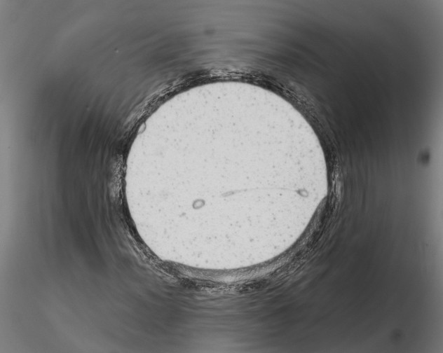 X0000115211012200912091153