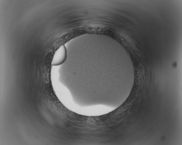 X0000115211013200912091153