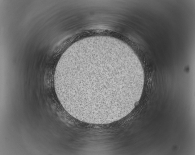 X0000115211014200912091153