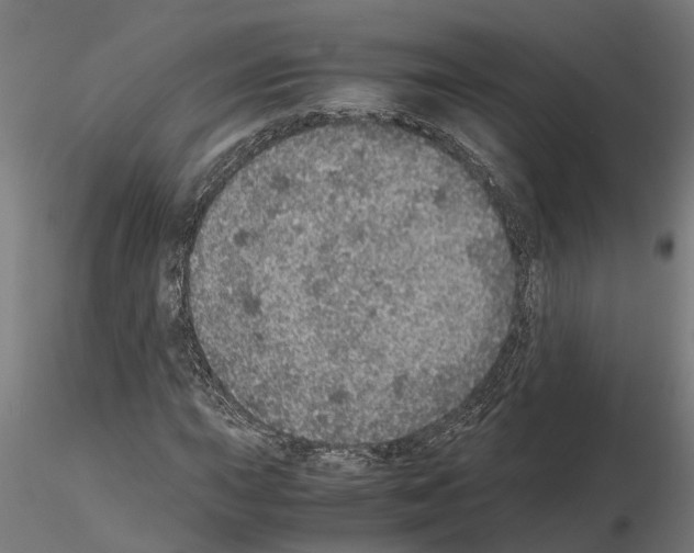 X0000115211015200912091153