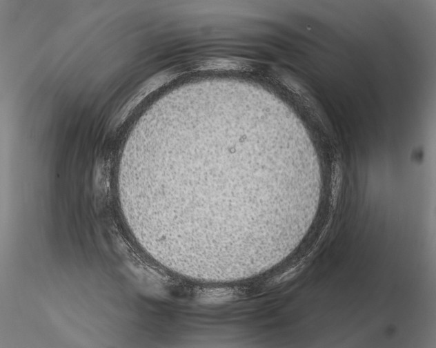 X0000115211017200912091153