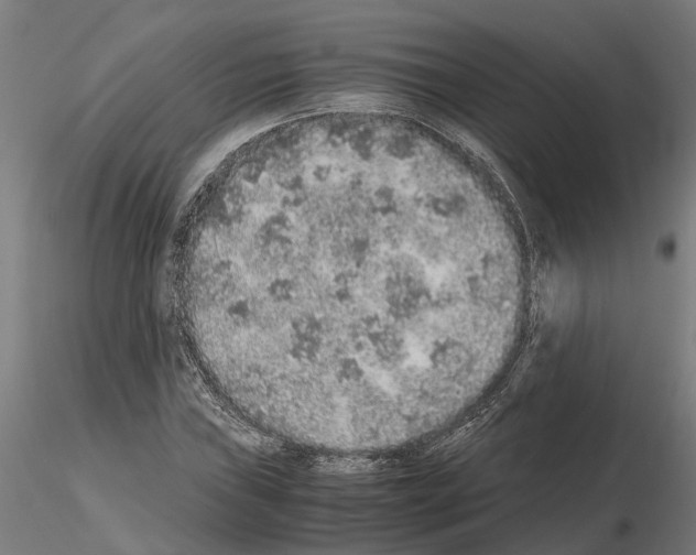 X0000115211019200912091153