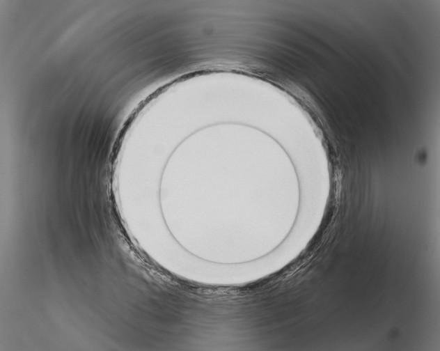 X0000115211020200912091153