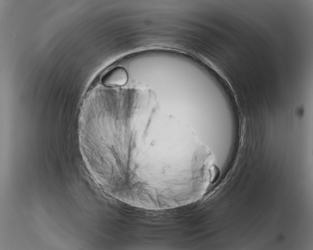 X0000115211021200912091153