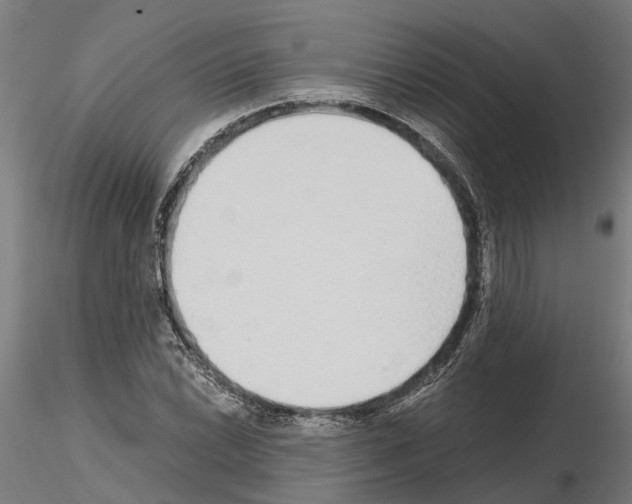 X0000115211022200912091153