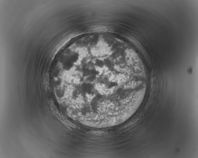 X0000115211023200912091153