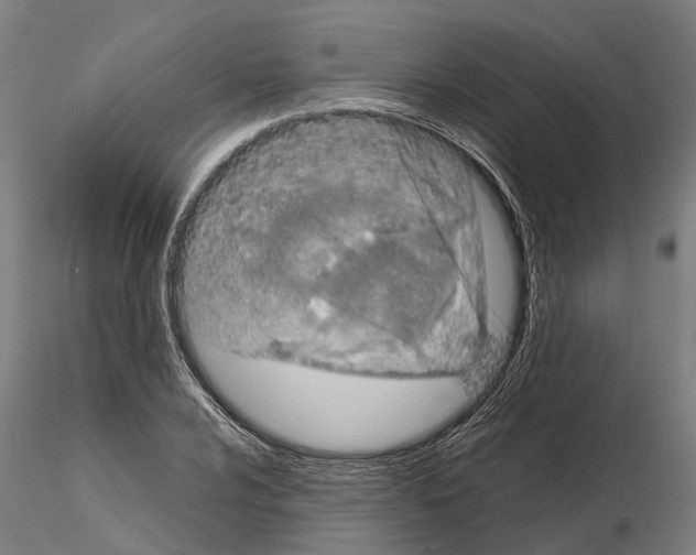 X0000115211024200912091153