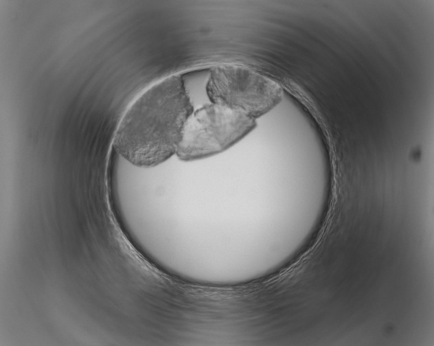 X0000115211028200912091153