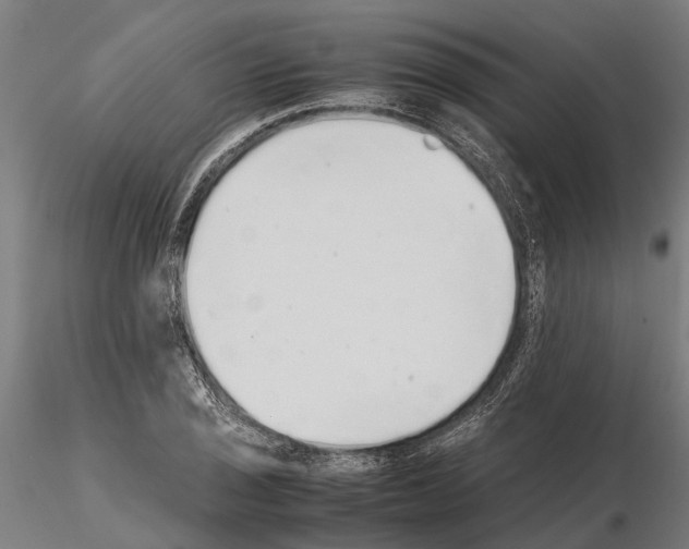 X0000115211029200912091153