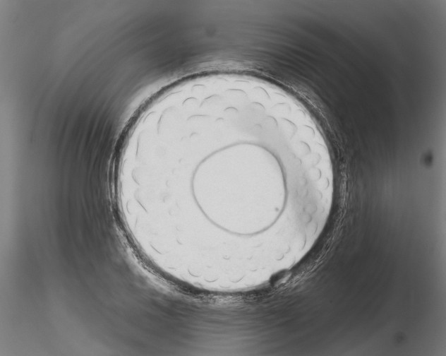 X0000115211030200912091153