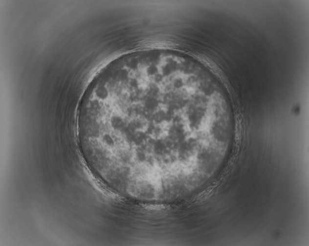 X0000115211031200912091153