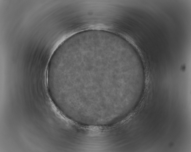 X0000115211032200912091153