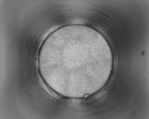 X0000115211034200912091153