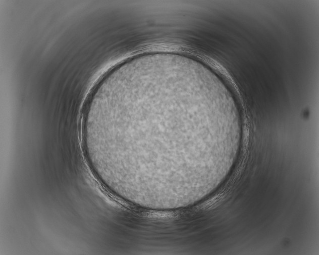 X0000115211035200912091153