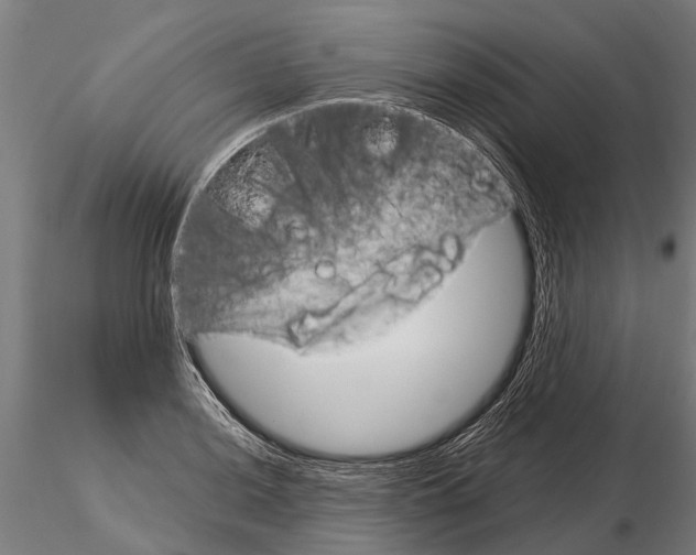 X0000115211036200912091153