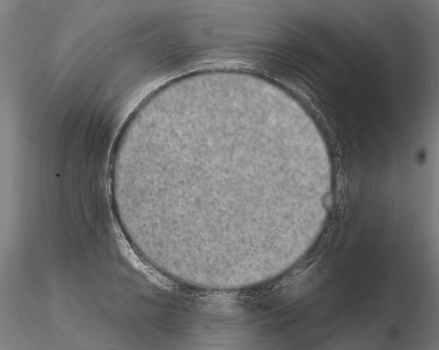 X0000115211038200912091153