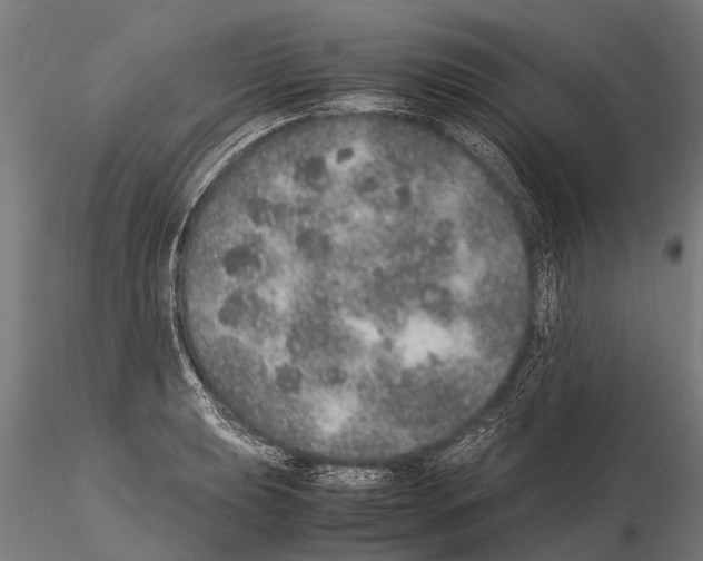 X0000115211039200912091153