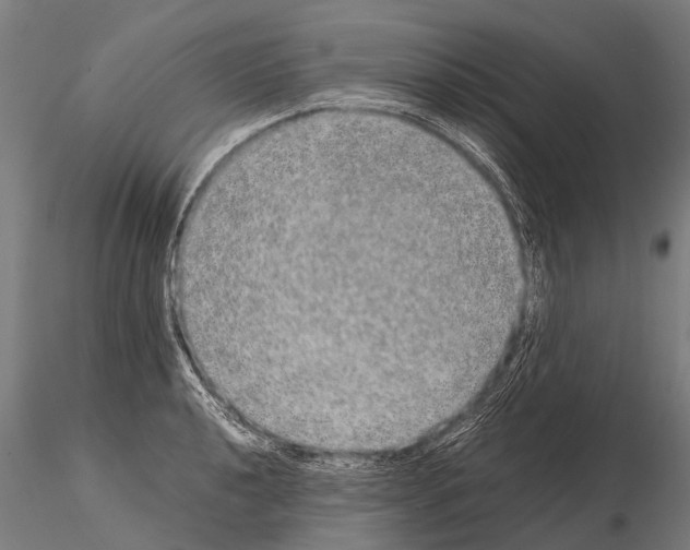 X0000115211040200912091153