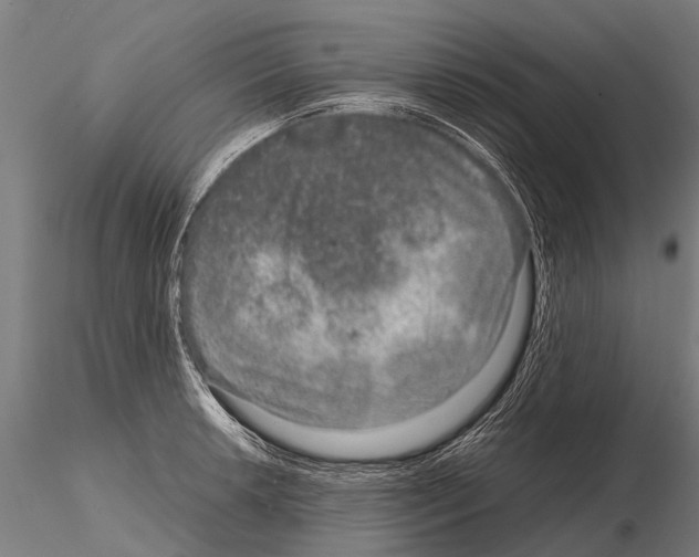 X0000115211042200912091153