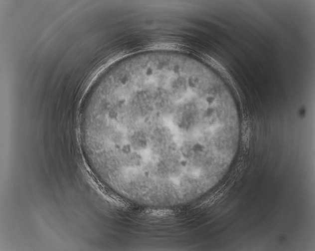 X0000115211043200912091153