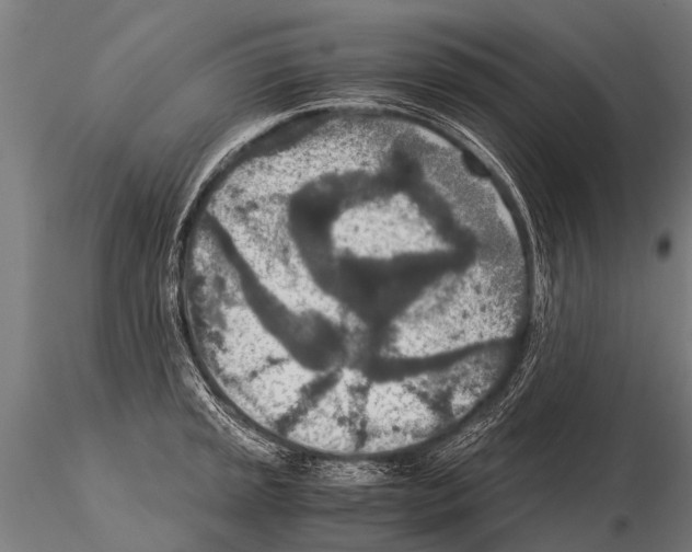 X0000115211045200912091153