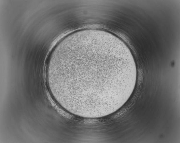 X0000115211046200912091153