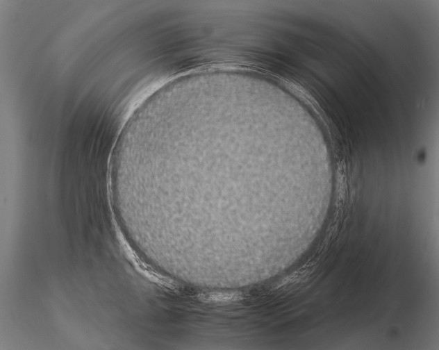 X0000115211047200912091153