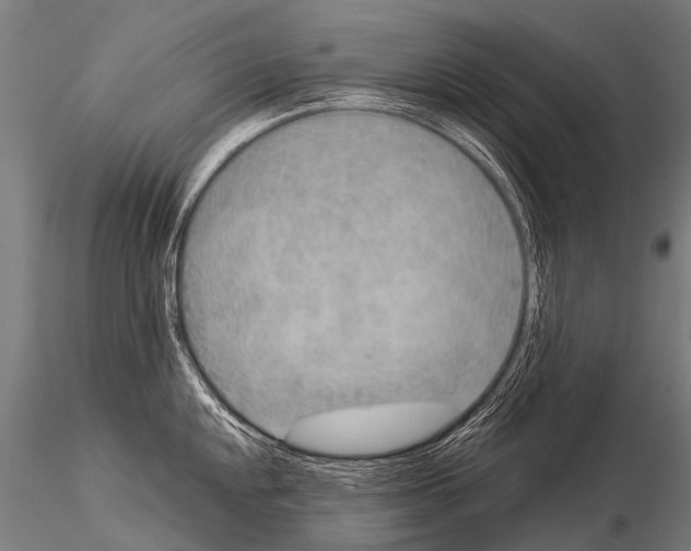 X0000115211048200912091153