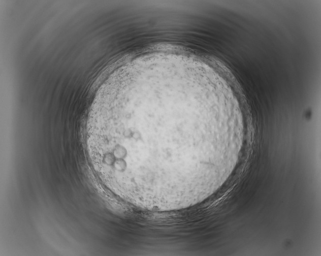 X0000115211049200912091153