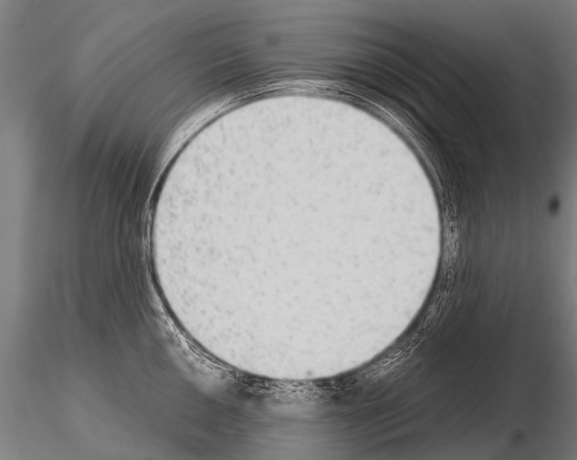 X0000115211050200912091153