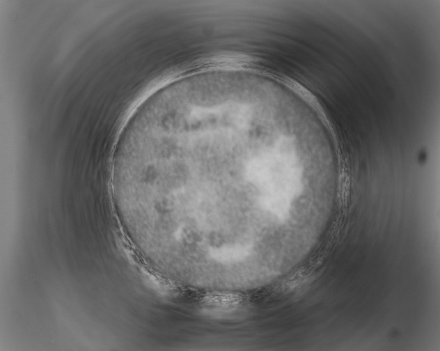 X0000115211051200912091153