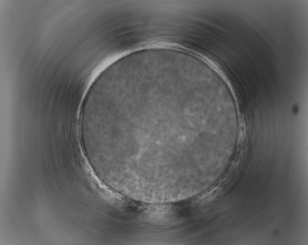 X0000115211053200912091153